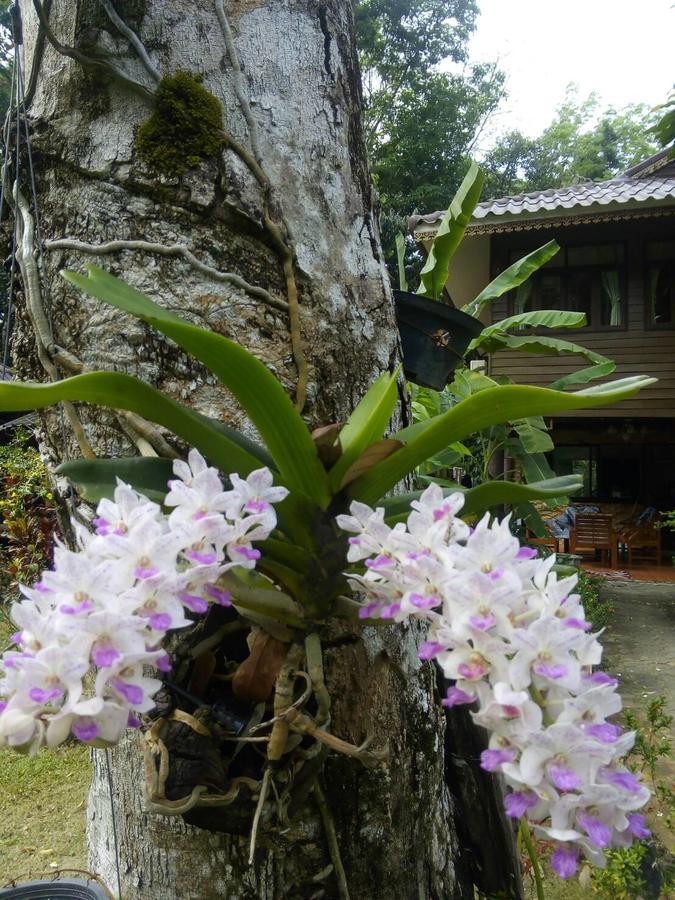 Отель Koh Kood Little Hut Ko Kut Экстерьер фото