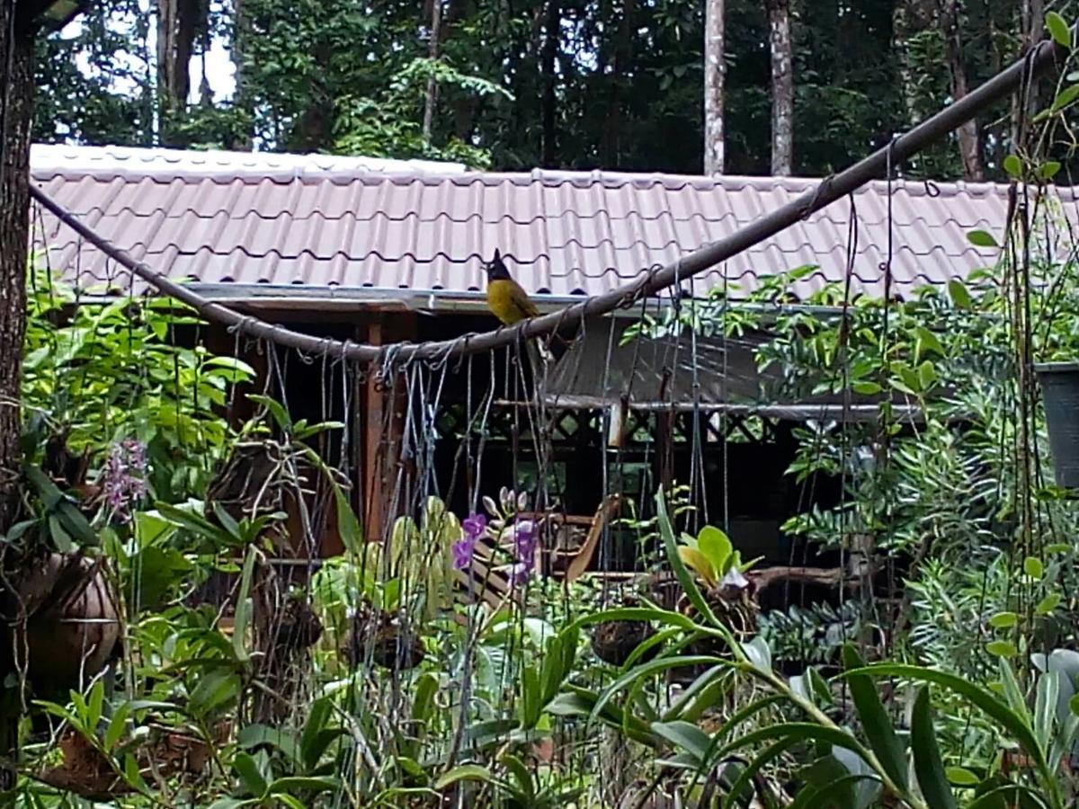 Отель Koh Kood Little Hut Ko Kut Экстерьер фото