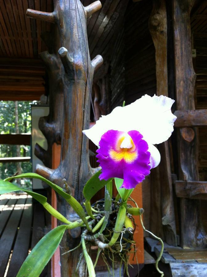 Отель Koh Kood Little Hut Ko Kut Экстерьер фото