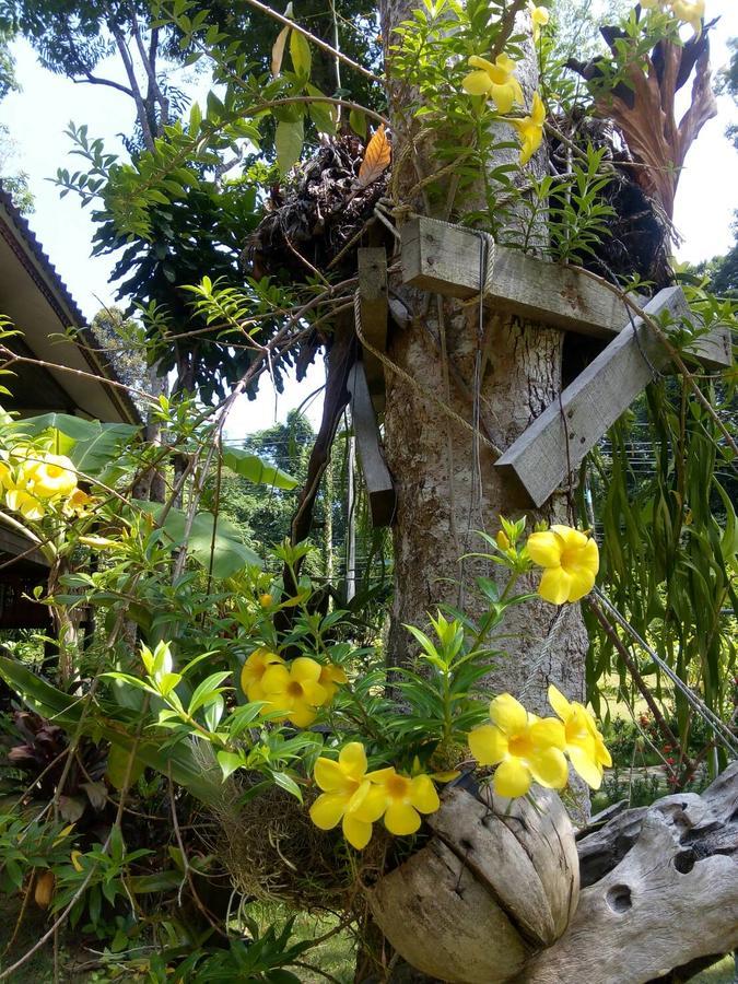 Отель Koh Kood Little Hut Ko Kut Экстерьер фото