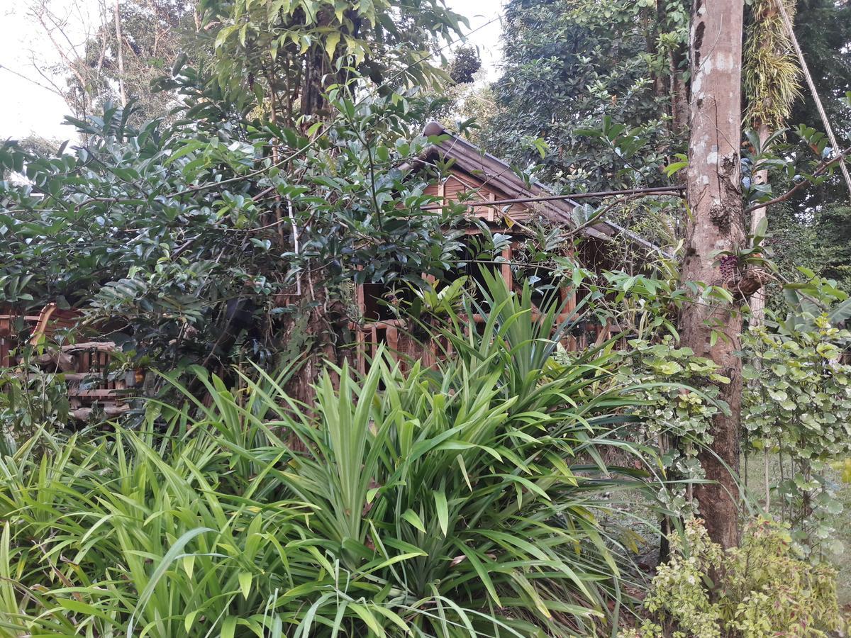 Отель Koh Kood Little Hut Ko Kut Экстерьер фото