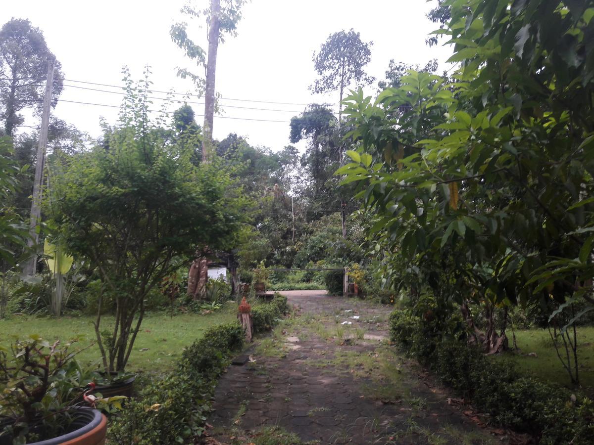 Отель Koh Kood Little Hut Ko Kut Экстерьер фото